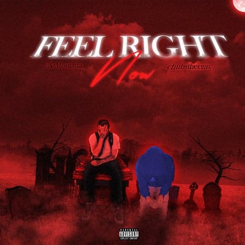 Feel Right Now (feat. ChubbsTheEmu)