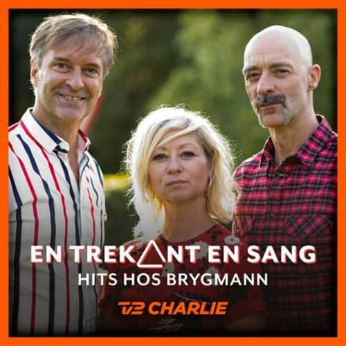 En Trekant En Sang 5 - Hits Hos Brygmann