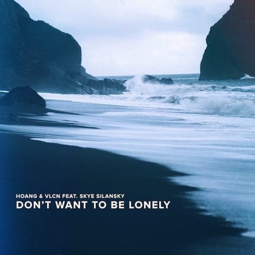 Don't Want To Be Lonely