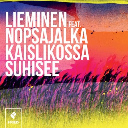 Kaislikossa suhisee (feat. Nopsajalka)