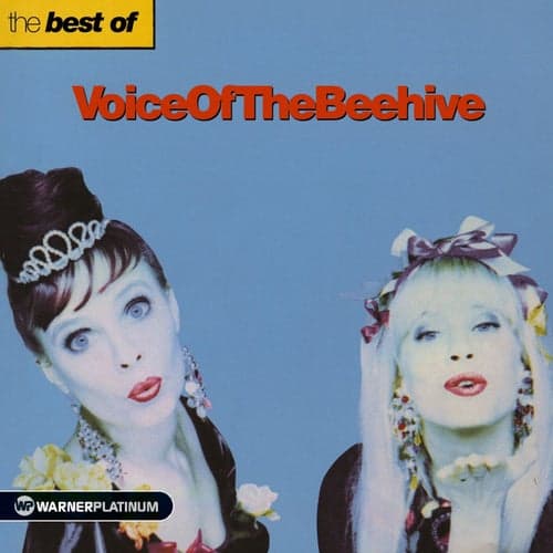 The Best of Voice Of The Beehive