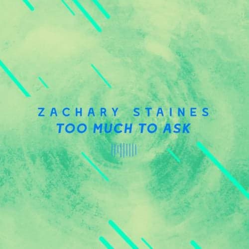 Too Much to Ask (The ShareSpace Australia 2017)