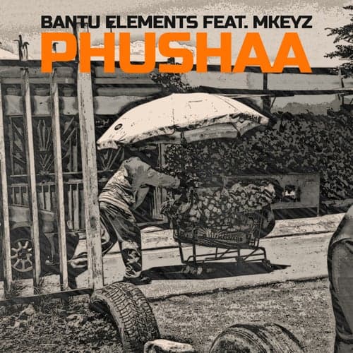 Pushaa (feat. Mkeyz)