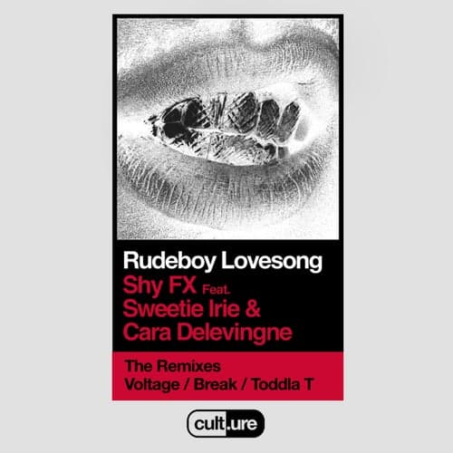 Rudeboy Lovesong (feat. Sweetie Irie and Cara Delevingne)