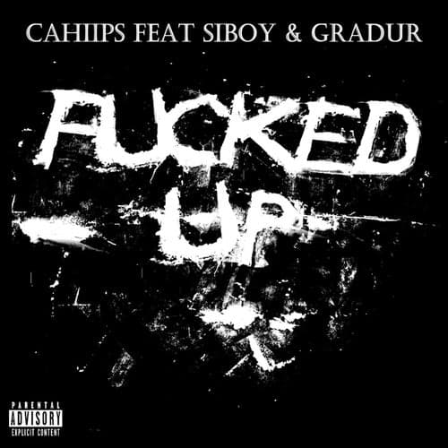 F****d Up (feat. Siboy & Gradur)