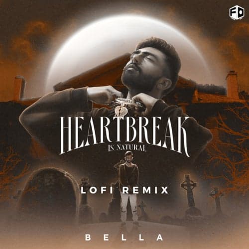 Heartbreak Is Natural (Lofi Remix)