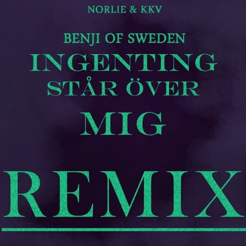Ingenting står över mig (Benji Of Sweden Remixes)