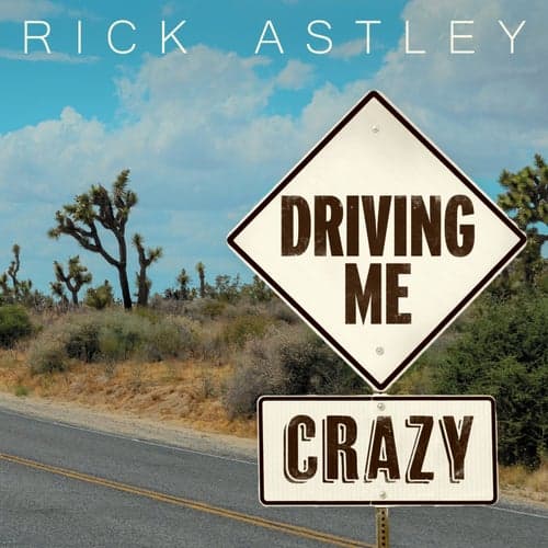Driving Me Crazy (Edit)