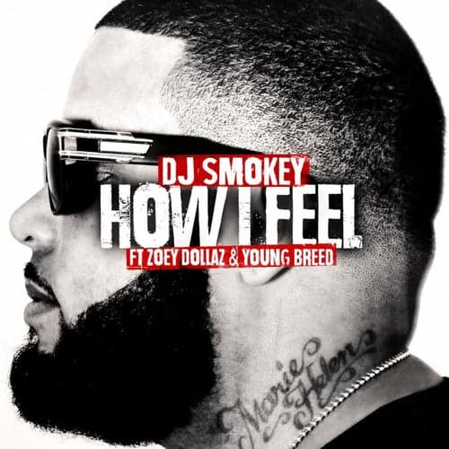 How I Feel (feat. Zoey Dollaz & Young Breed) - Single