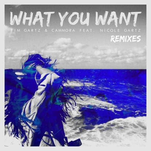 What You Want  (feat. Nicole Gartz)