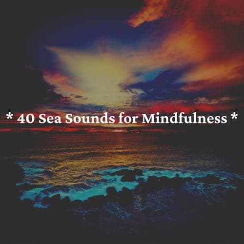 * 40 Sea Sounds for Mindfulness *