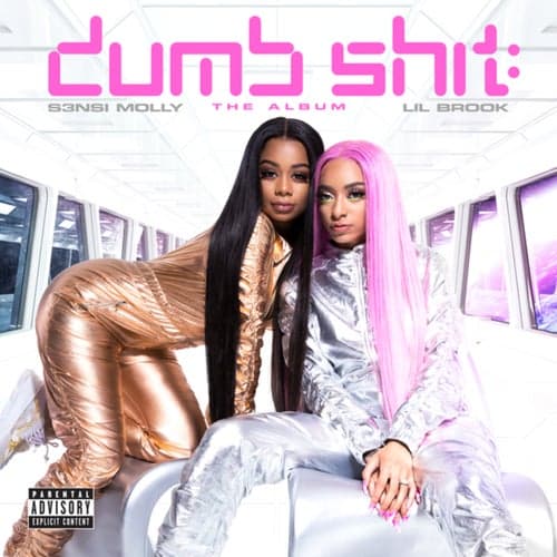 Dumb Shit: The Album