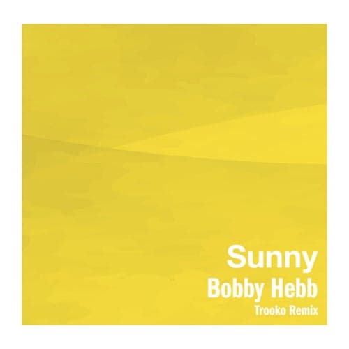 Sunny (Trooko Remix)