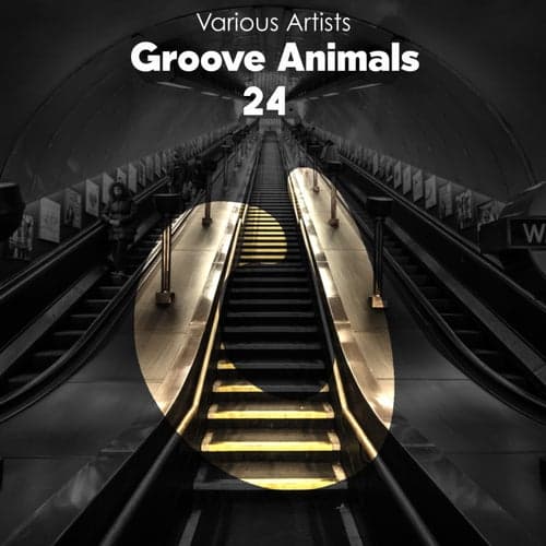 Groove Animals 24