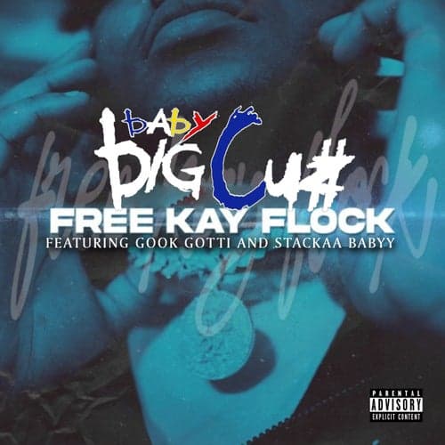 Free Kay Flocc (feat. Gook Gotti & Stackaa Babyy)