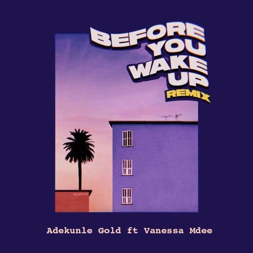 Before You Wake Up (Remix) [feat. Vanessa Mdee]