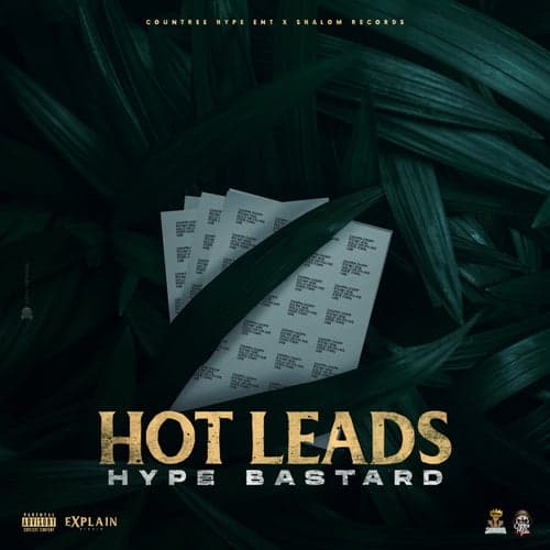 Hot leads