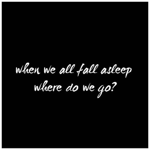 When We All Fall Asleep Where Do We Go?