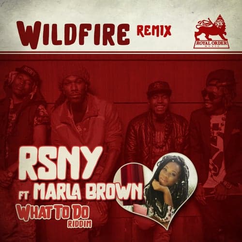 Wildfire (Remix) [feat. Marla Brown]