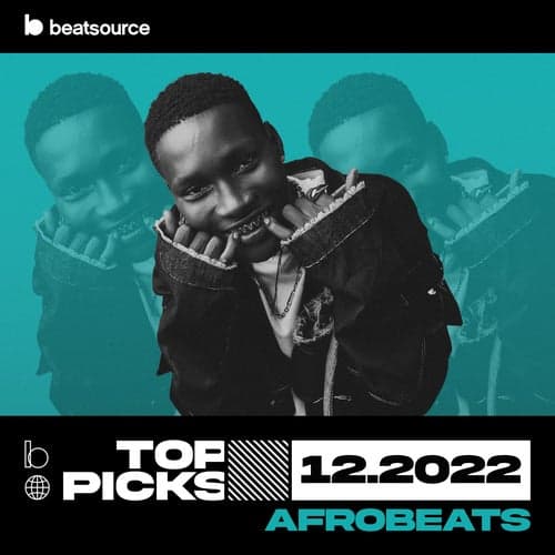 Afrobeats Top Picks December 2022 playlist