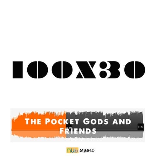 The Pocket Gods and Friends 100 X 30