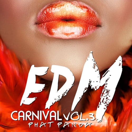 EDM Carnival, Vol. 3