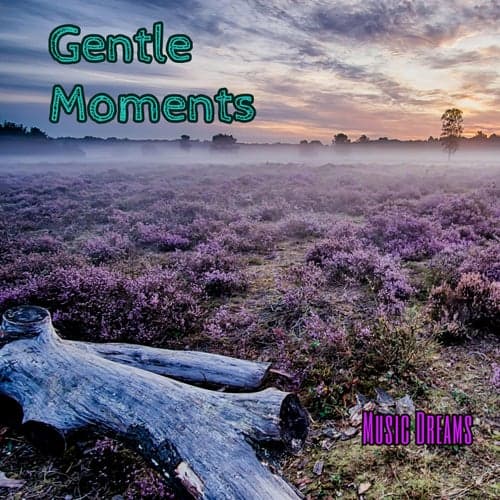 Gentle Moments
