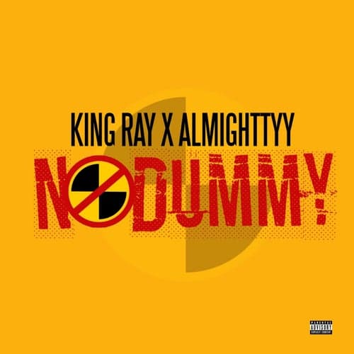 No Dummy (feat. Almighttyy)