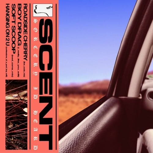 SOFT SCOOP (iced_coma_mix)