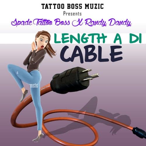 Length A Di Cable