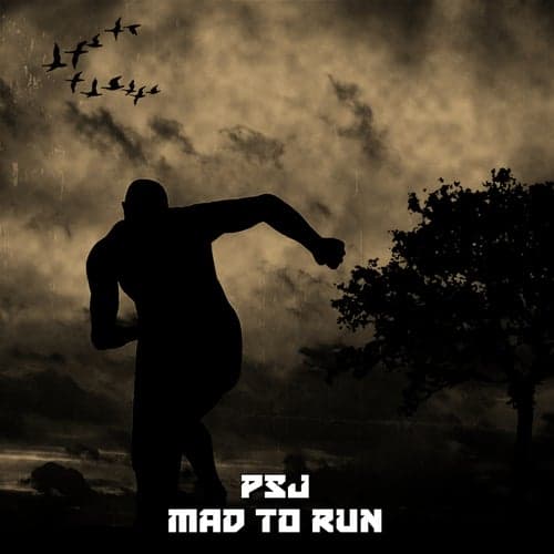 Mad to Run