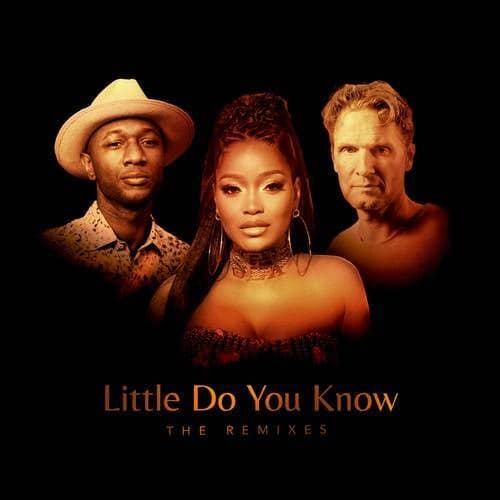 Little Do You Know (The Remixes)
