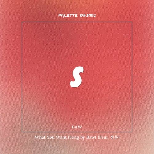 What You Want (feat. Baw & JungHun)