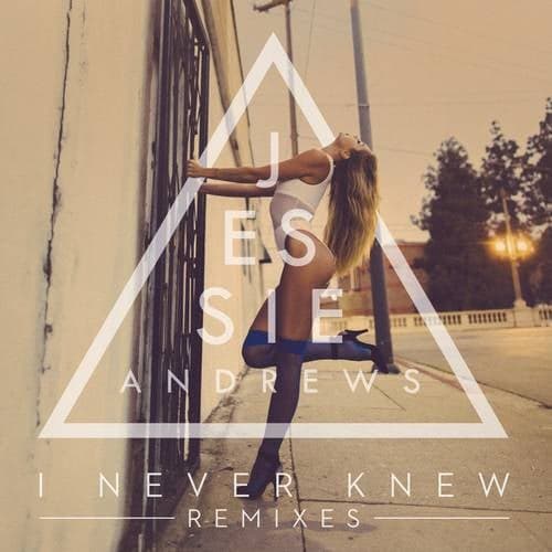 I Never Knew (Remixes)