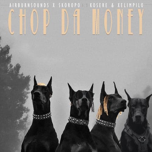 Chop Da Money (feat. Kosere and Xelimpilo)