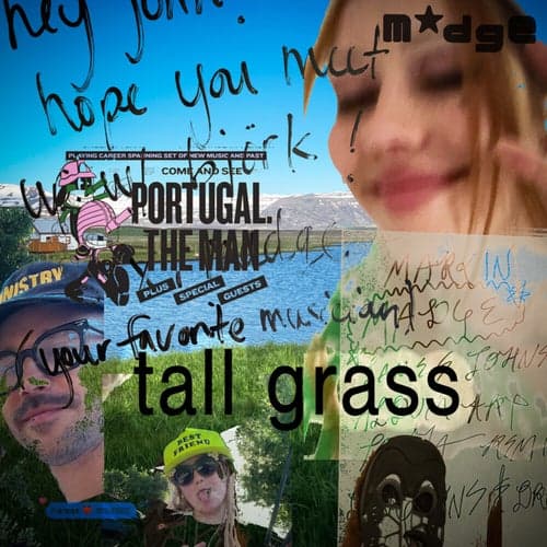 TALL GRASS