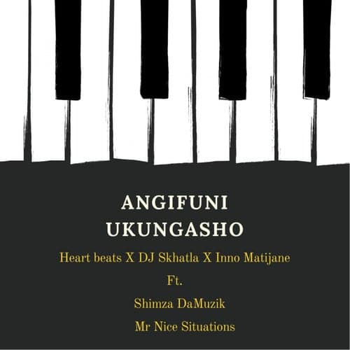 Angifuni Ukungasho (feat. Shimza DaMuzik, Mr Nice Situations)