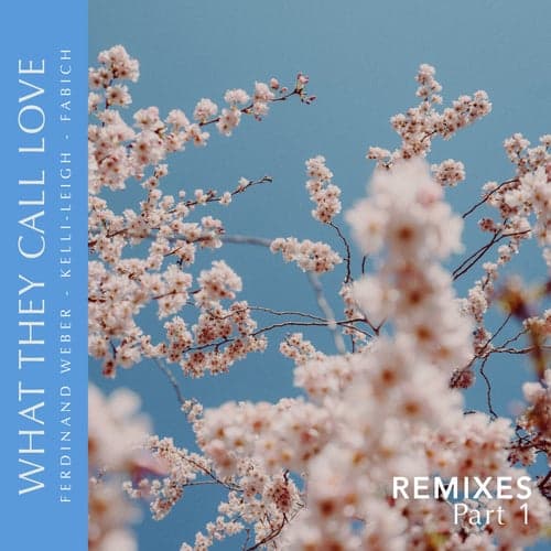 What They Call Love Remixes, Pt.1