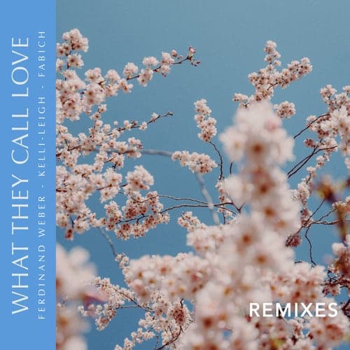 What They Call Love (Remixes)