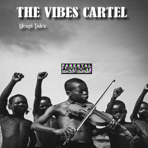 THE VIBES CARTEL