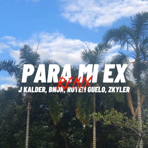 Para Mi Ex (Remix)