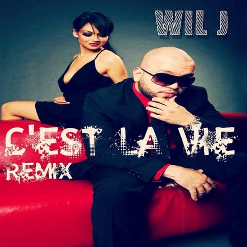C'est La Vie (Remix)