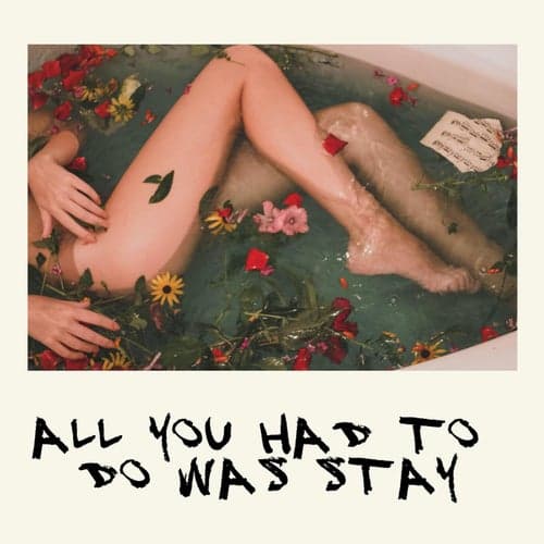 All You Had to Do Was Stay