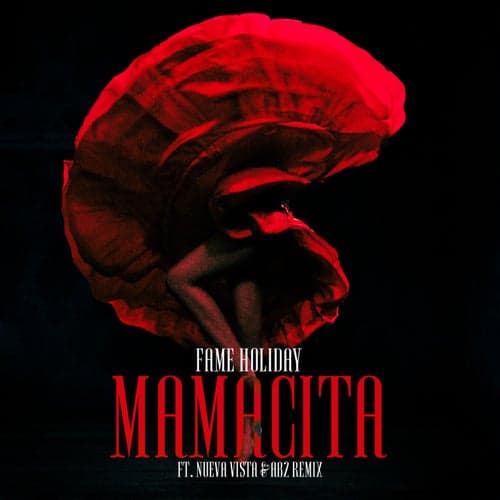 Mamacita (feat. Nueva Vista & AB2) [Remix]