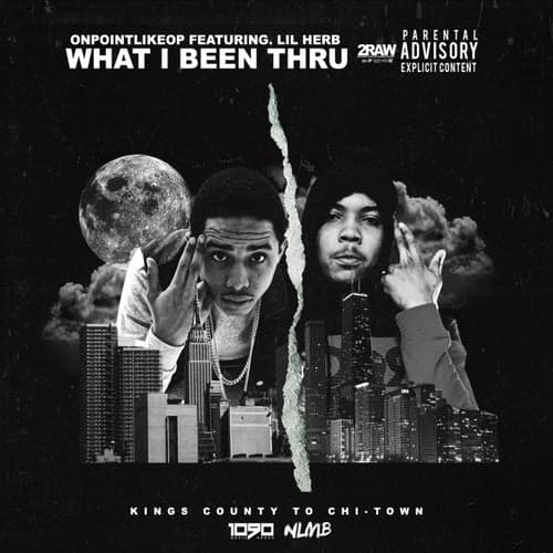 What I Been Thru (feat. Lil Herb)