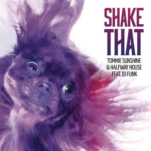 Shake That (Radio Edit)