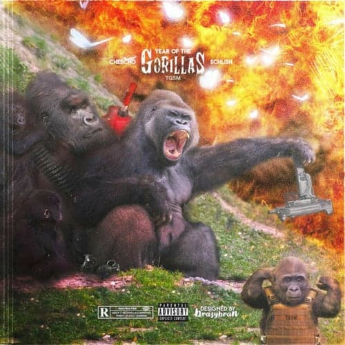 Year Of The Gorillas