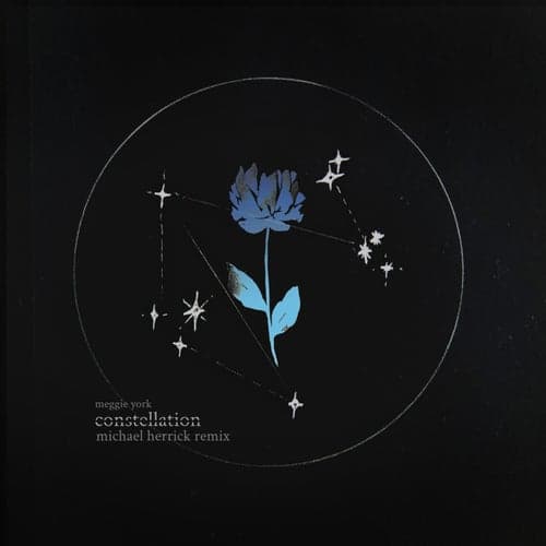Constellation (Michael Herrick Remix)
