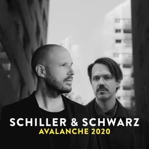 Avalanche 2020