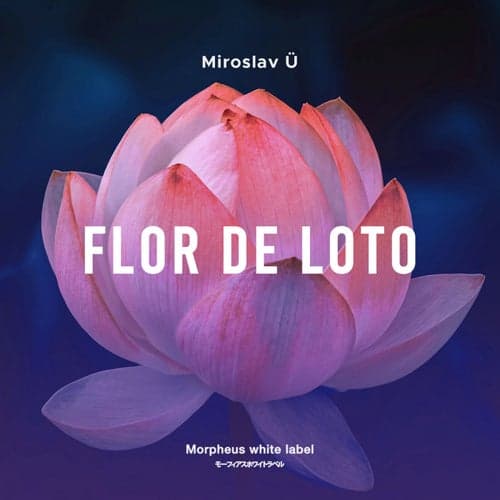 Flore De Loto